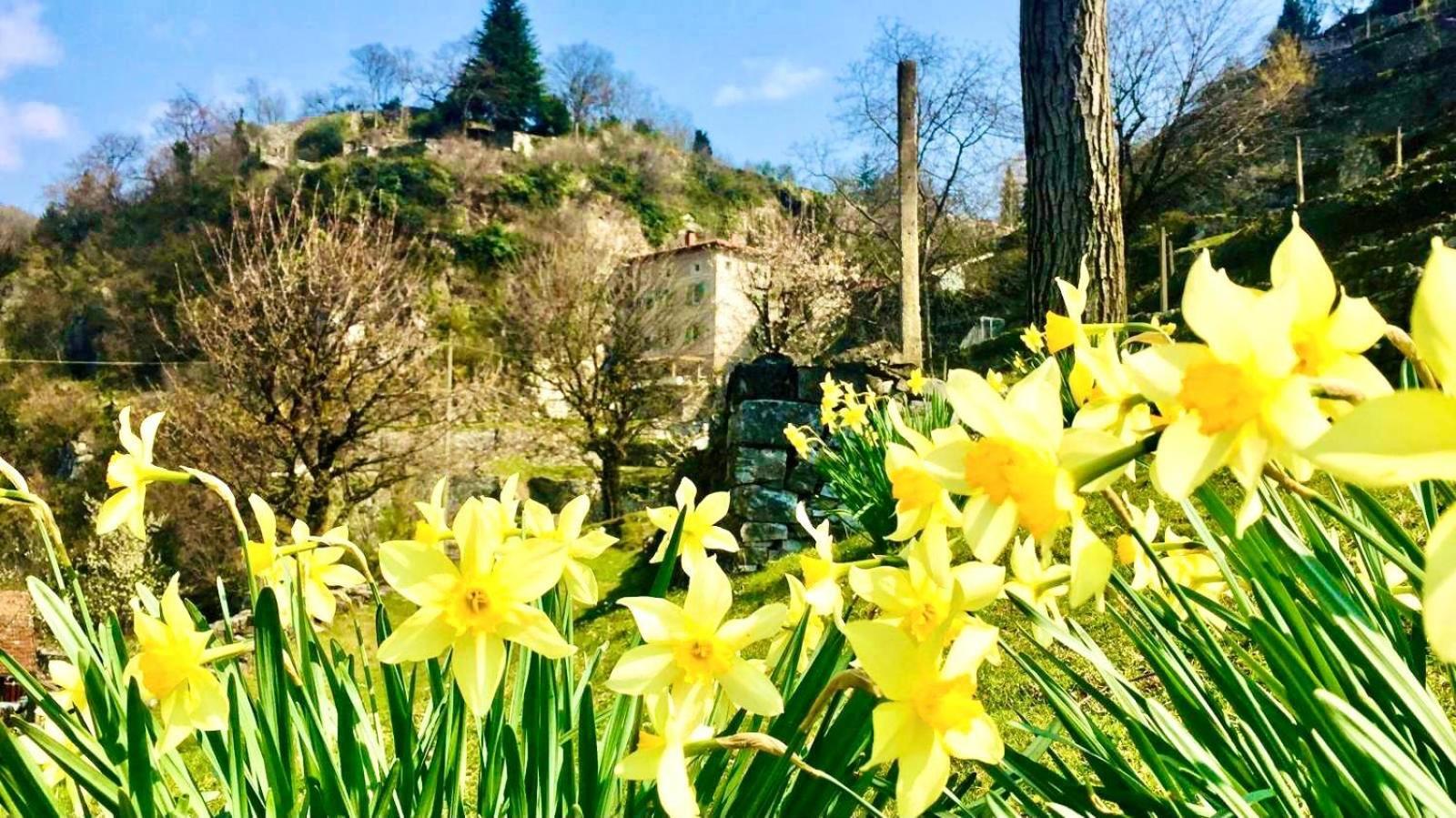 La Casa Sulla Collina Del Castello Villa Breno Buitenkant foto