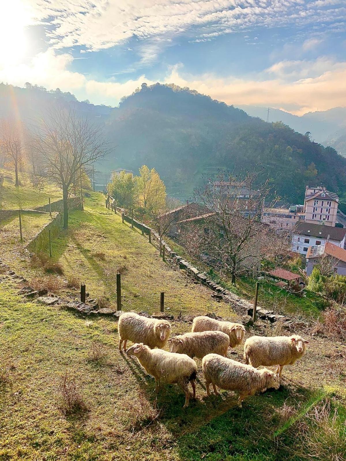 La Casa Sulla Collina Del Castello Villa Breno Buitenkant foto